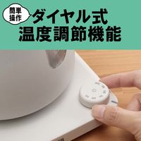 タイガー魔法瓶 温度調節機能付蒸気レスケトル PTVーA120WG 1台