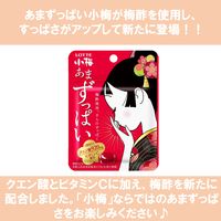 飴 キャンディ 食べきりサイズ あまずっぱい 小梅ミニパウチ 1箱（1個×8）