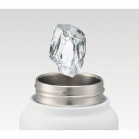 スケーター STD8H ハンドル付ワンプッシュダイレクトステンレスボトル 【Champion】 654879-STD8H 1個（直送品）