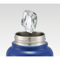 STD10H ハンドル付ワンプッシュダイレクトステンレスボトル 1000ml 【Champion】 654886-STD10H 1個（直送品）