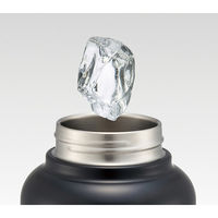 STD15H ハンドル付ワンプッシュダイレクトステンレスボトル 1500ml 【Champion】 654909-STD15H 1個（直送品）