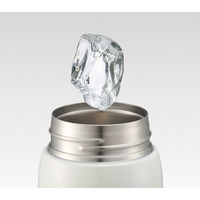 スケーター STOT3 ステンレスワンタッチボトル 350ml 【Champion】 654916-STOT3 1個（直送品）