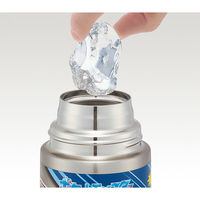 SDC6N 超軽量ロック付ワンプッシュダイレクトステンレスボトル 580ml 【ポケットモンスター 24】 664946-SDC6N 1個（直送品）