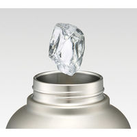 スケーター STD20H ハンドル付ワンプッシュダイレクトステンレスボトル 2000ml 【シルバー】 669002-STD20H 1個（直送品）