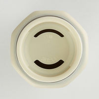 スケーター STO5 八角形ステンレスマグボトル 500ml 【ミッキー/アイボリー】 680618-STO5 1個（直送品）