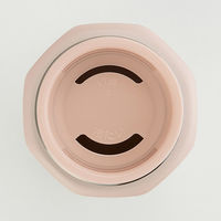 スケーター STO5 八角形ステンレスマグボトル 500ml 【ミッキー/モスピンク】 680625-STO5 1個（直送品）