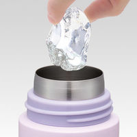 SDPC5 ワンプッシュステンレスマグボトル 500ml 【すみっコぐらし うさぎのふしぎなおまじない】 691904-SDPC5 1個（直送品）