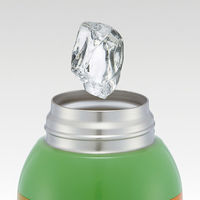 STCH6 ショルダーベルト付ダイレクトステンレスボトル 600ml 【Minecraft 25】 694783-STCH6 1個（直送品）