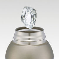 STCH6 ショルダーベルト付ダイレクトステンレスボトル 600ml 【ポケットモンスター 25】 696428-STCH6 1個（直送品）