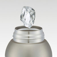 スケーター STCH6 ショルダーベルト付ダイレクトステンレスボトル 600ml 【カラフルピーチ 25】 698972-STCH6 1個（直送品）