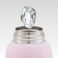 スケーター STCH6 ショルダーベルト付ダイレクトステンレスボトル 600ml 【らぶいーず】 707162-STCH6 1個（直送品）