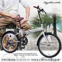 池商 20インチ折たたみ自転車 6段変速 MF202 マットブラック 1台（直送品）