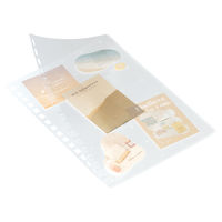 リヒトラブ カスタマイズ オープンリングノート ポケットタイプ表紙 A6 クリスタル N2921-25 1枚