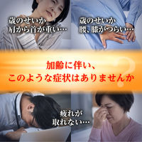 リポビタンDX PLUS 90錠 加齢による肩・首・腰・膝の不調に 目の疲れ