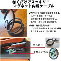 FSC TypeーC 2in1 充電・データ通信マグネットケーブル<ブラック> FS-C2in1-BK 1個