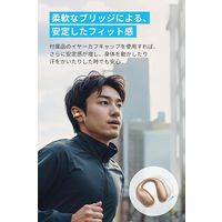 Anker Soundcore C40i(ローズゴールド) A3331NB1 1個