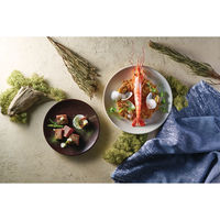 台和 19cm平皿 溜(ため) NSJ-6-T 1個（直送品）