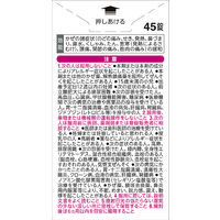 ベンザブロックLプレミアムDX錠 45錠 アリナミン製薬 風邪薬 のどの痛み せき 発熱 鼻づまり 鼻水【指定第2類医薬品】