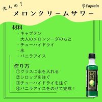 シロップ 割り材 大人のメロンソーダのもと 瓶 200ml 3本