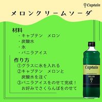 シロップ 割り材 業務用 キャプテン メロン 瓶 600ml 3本 かき氷 カキ氷