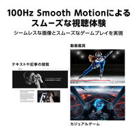 ASUS <VPシリーズ> 21.45型 IPSパネル搭載液晶モニター VP229HF 1台