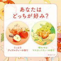 入浴剤 炭酸 アソート 温泡 フルーツティーセレクト 1箱（2種×6錠入） 湯色 色付き透明タイプ アース製薬