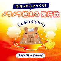入浴剤 薬用 粉末 バスロマン ホットヴィヒタの香り 600g 発汗 1セット（1個×4） 湯色 色付き透明タイプ アース製薬