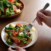 【アウトレット】サラダフォーク サラダフォーク 燕三条製 Aー78219 1セット（12本 4本組×3） アーネスト