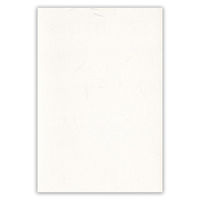 エヌビー社 特漉和紙葉書箋 大礼紙A 5101501 1冊（直送品）