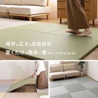 【玄関渡し】 萩原 水拭きできる　い草風置き畳　おぼろ　同色9枚組 グリーン 82×82×2.5cm（直送品）