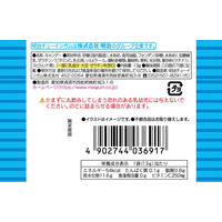 子ども向けお菓子 駄菓子 チューキャン ソーダ 13g 1セット（1個×40）