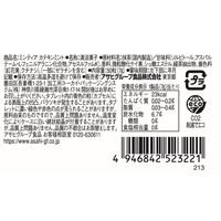 タブレット ミンティア カテキンミント 1セット（1個×12）