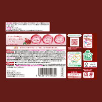 バスクリン ボーテ ザクロの香り 360g 1セット（1個×2） 湯の色 パールピンク（にごりタイプ）