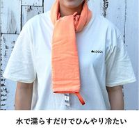 LOGOS ひんやりドライタオル ブルー ネッククーラー  8567BE007　１セット（３枚入り） LOGOS/ロゴス