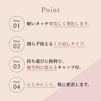 ちふれ化粧品 リップ ライナー N 541