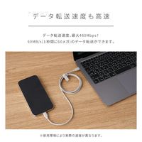 ライズクリエイション 【結束バンド付き】USBケーブル TypeーC to C グレージュ 3.0m R0496-GREIGE-300 1本