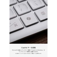 エレコム キーボード マルチペアリング 充電式 フルサイズ パンタグラフ式 ホワイト TK-PN10FMPAWH 1個