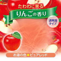 HERSバスラボ ボトル りんごの香り 540g 1セット（1本×3） 湯の色 ピュアレッド(透明湯タイプ) 白元アース
