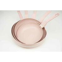 パール金属 フライパン 20cm IH対応 ROSA ふっ素加工 472304 1個（直送品）