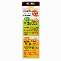 健栄うがい薬 50mL 健栄製薬 のどの殺菌・消毒、口臭除去に【第3類医薬品】