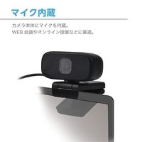 センチュリー WEBカメラ マイク内蔵100万画素 CCAM-S10BK 1個