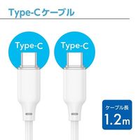 センチュリー PD60W対応TypeーCケーブル1.2m CC-JD60W12WH Type-CtoC Cable 1_2m 1個