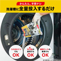 茂木和哉 洗濯槽クリーナー 塩素系粉末タイプ 300g 1個 レック