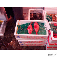 日本紙パルプ商事 保鮮紙 グリーンパーチ 21 1/2切 00749320 1ケース(20000個(500個×40))（直送品）