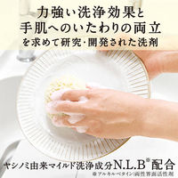 サラヤ 中性洗剤 ヤシノミ洗剤 5kg 00758411 1ケース(3個(1個×3))（直送品）