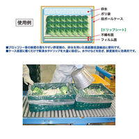 第一衛材 保鮮紙 CFドリップシート エコタイプ 4460 50枚入 CDR-017 1ケース(3個(1個×3))（直送品）