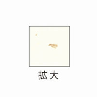 ヒサゴ プリンター用紙 サステナブルクラッポ バナナ 5% 厚口 10枚入 FSCSC03S 1ケース(5個(1個×5))（直送品）