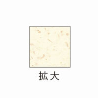 ヒサゴ プリンター用紙 サステナブルクラッポ バナナ 20% 10枚入 FSCSC05S 1ケース(5個(1個×5))（直送品）