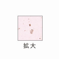 ヒサゴ プリンター用紙 サステナブルクラッポ あずき 薄口 10枚入 FSCSC07S 1ケース(5個(1個×5))（直送品）