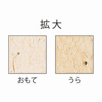 ヒサゴ プリンター用紙 サステナブルクラッポ パームヤシ 10枚入 SC02S 1ケース(5個(1個×5))（直送品）